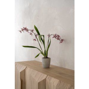 Pottery Pots Planter Flowerpot Fiber Clay Grey Washed 5.1'' Minimalism Textured